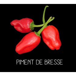 Piment de Bresse