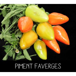 Piment faverges