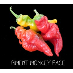Piment monkey face