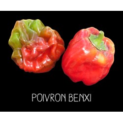 Poivron Benxi