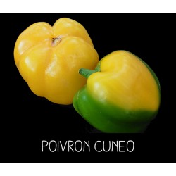 Poivron Cuneo