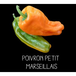 Poivron petit vert marseillais