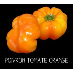 Poivron tomate orange