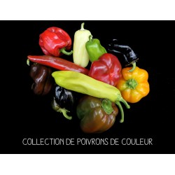 Collection de poivrons de...