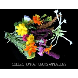 COLLECTION COMPOSITION DE...