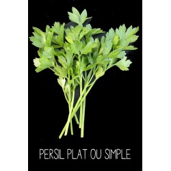 Persil plat ou simple -...
