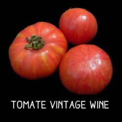 Tomate Vintage wine