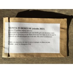 Nepeta Tubéreuse - NEPETA...