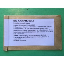 Mil à chandelle -...