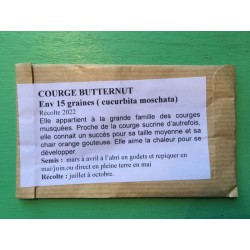 Courge Butternut -...