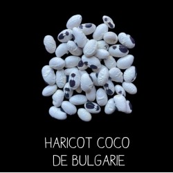 Haricot coco de Bulgarie à...
