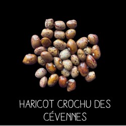 Haricot crochu des Cévennes...