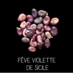 Fêve violette de Sicile