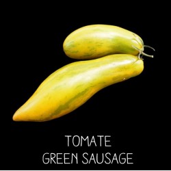 Tomate green sausage