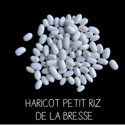 Haricot petit riz de la Bresse