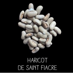 Haricot de Saint Fiacre à...