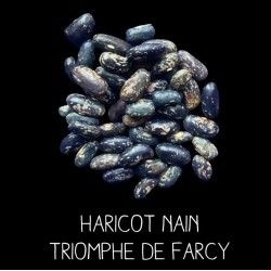 Haricot nain triomphe de Farcy