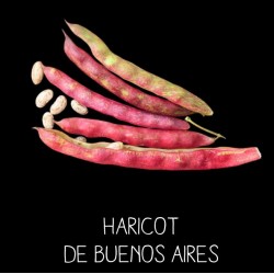 Haricot de Buenos Aires à...