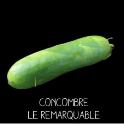 Concombre le remarquable...