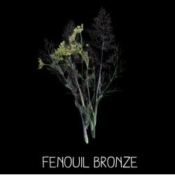 Fenouil Bronze