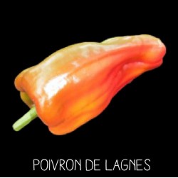 Poivron de Lagnes