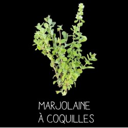 Marjolaine à coquilles...