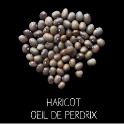 Haricot œil de perdrix