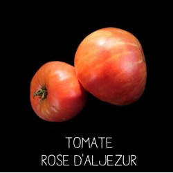 Tomate Rose d'Aljezur