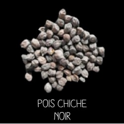 Pois chiche noir - CICER...
