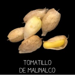 Tomatillo de Malinalco