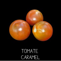 Tomate caramel