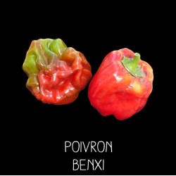 Poivron Benxi