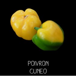 Poivron Cuneo