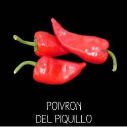 Poivron del piquillo