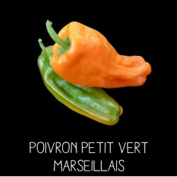 Poivron petit vert marseillais
