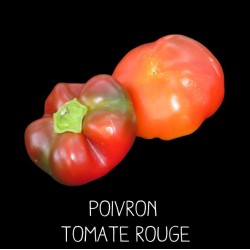 Poivron tomate rouge