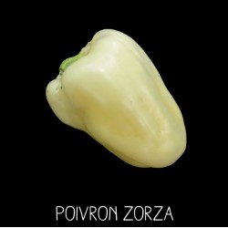 Poivron zorza