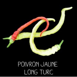 Poivron jaune long de Turquie