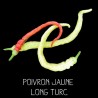 Poivron jaune long de Turquie