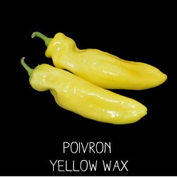 Poivron yellow wax