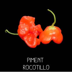 Piment rocotillo