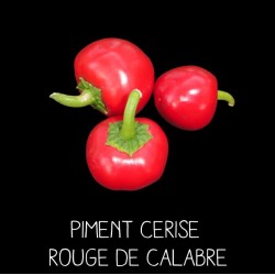 Piment cerise rouge de Calabre