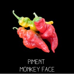 Piment monkey face