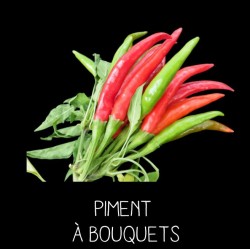 Piment à bouquet