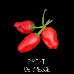 Piment de Bresse