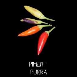 Piment Purira