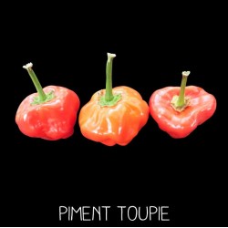 Piment Toupie