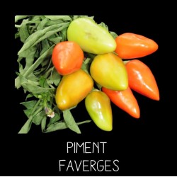 Piment Faverges
