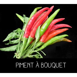 Piment à bouquet