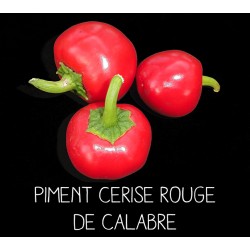Piment cerise rouge de Calabre